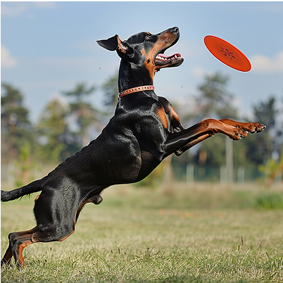 Aerodynamic Bronze Watch